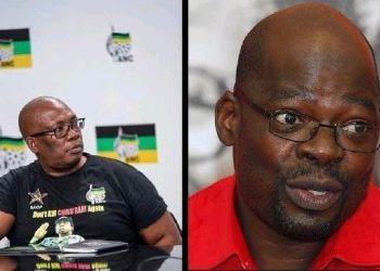 Lesufi and Mapaila: Emerging Powerhouses Reshaping South Africa’s Political Landscape