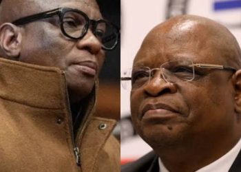 Zizi Kodwa Sues Raymond Zondo Over Allegations Made During State Capture Inquiry