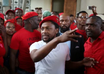 Senior EFF Member Mbuyiseni Ndlozi Resigns Amid Party’s Declining Fortunes