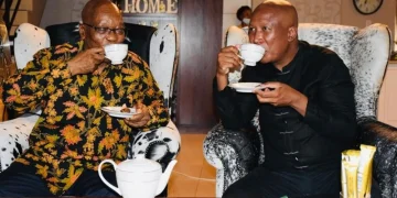 Malema Critiques Zuma’s Leadership: “A History of Using and Discarding Allies”
