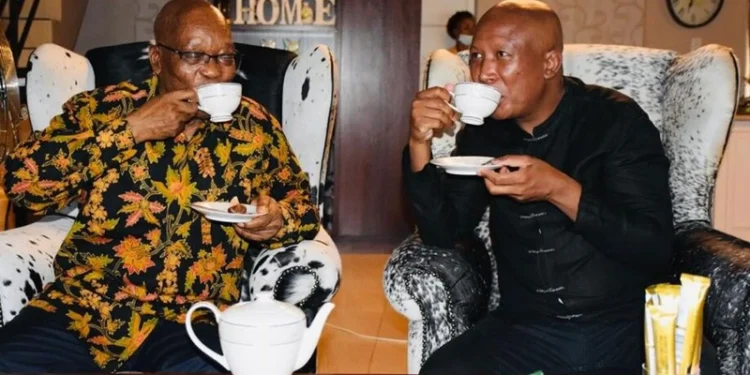 Malema Critiques Zuma’s Leadership: “A History of Using and Discarding Allies”