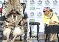 Zulu King Misuzulu Commemorates 146th Anniversary of Isandlwana Battle Amid Wedding Controversy