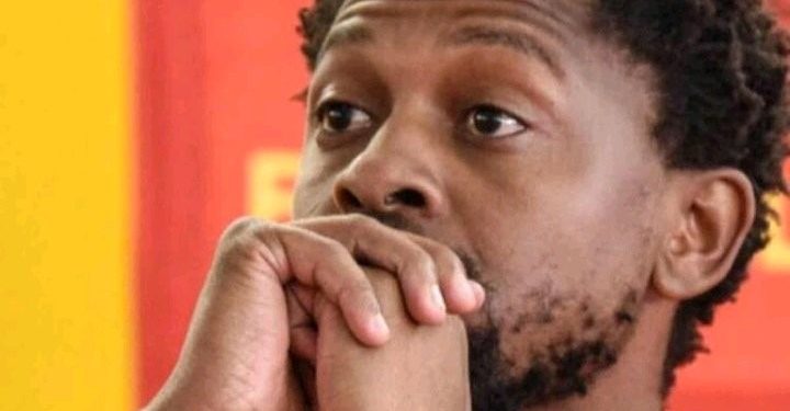Mbuyiseni Ndlozi Breaks Silence on Suspension, Denies Allegations of MK Party Involvement