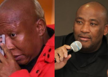 Gayton McKenzie Expresses Confidence in Julius Malema’s Comeback Amid Challenges