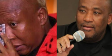 Gayton McKenzie Expresses Confidence in Julius Malema’s Comeback Amid Challenges