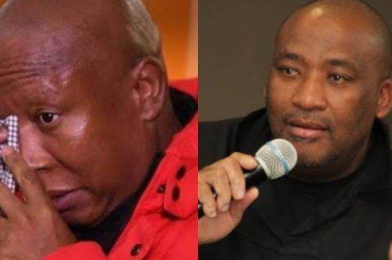 Gayton McKenzie Expresses Confidence in Julius Malema’s Comeback Amid Challenges