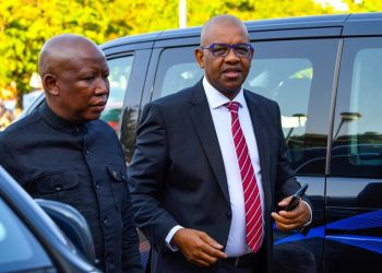 Malema vs. Mpofu: A Political Feud That Defies Age