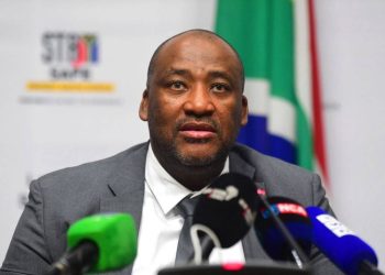 Minister Gayton Sparks Debate with Call for US Relations and Maximum Mineral Benefit for South Africans