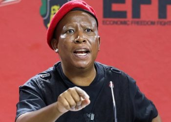 Malema Claps Back at ANC Criticism Amid Youth Leadership Debate