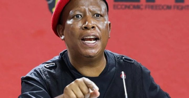 Malema Claps Back at ANC Criticism Amid Youth Leadership Debate