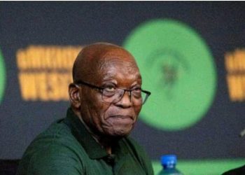 Jacob Zuma Set to Announce New Provincial Leaders for MK Party in Bid to Revitalize Influence