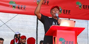 Malema Announces Leadership Deployments, Establishes GBV Desk as EFF Gears Up for 2025