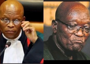 End of Zuma’s Era? EFF’s Mogoeng Sparks Debate on South Africa’s Political Future