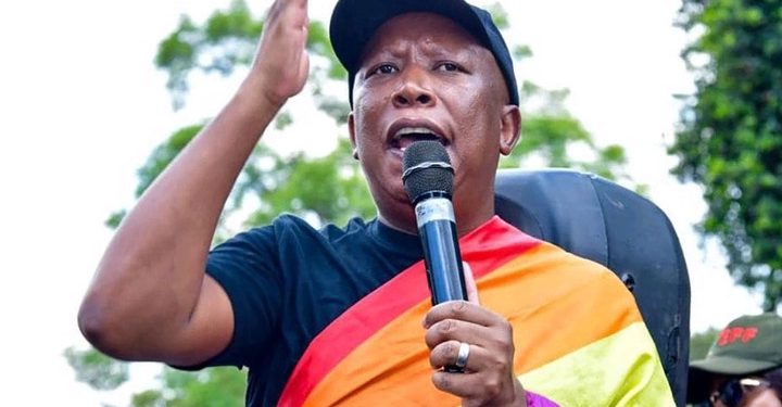 Julius Malema Faces Allegations of Foreign Influence in LGBTQ+ Advocacy