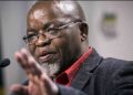 Gwede Mantashe Warns of Mineral Retaliation Amid U.S. Funding Threats