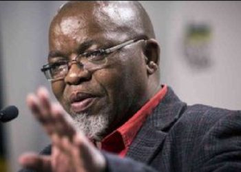 Gwede Mantashe Warns of Mineral Retaliation Amid U.S. Funding Threats
