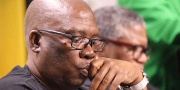 Panyaza Lesufi Survives Political Chop, Appointed Co-Convenor of Restructured Gauteng ANC Leadership