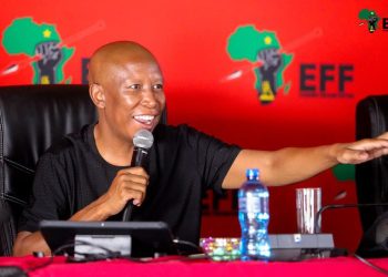 EFF MP Praises Julius Malema as a Leader with “Genuine Love” for the People