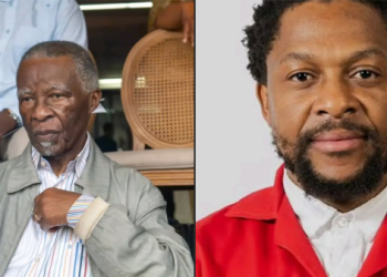 Ndlozi Consulted Mbeki and Motlanthe Before EFF Resignation, Says City Press