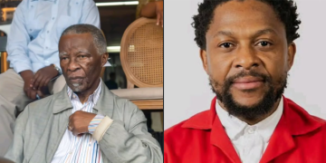 Ndlozi Consulted Mbeki and Motlanthe Before EFF Resignation, Says City Press