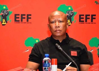 Elon Musk’s Repost Ignites Debate on Julius Malema’s Racial Rhetoric and Lifestyle Choices