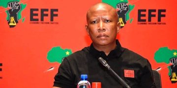 Elon Musk’s Repost Ignites Debate on Julius Malema’s Racial Rhetoric and Lifestyle Choices