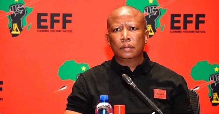 Elon Musk’s Repost Ignites Debate on Julius Malema’s Racial Rhetoric and Lifestyle Choices