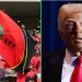 EFF Condemns Trump’s Executive Order Granting Afrikaners Refugee Status in the U.S., Calls for Citizenship Revocation
