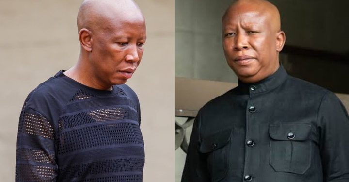 Debate Over Julius Malema’s Appearance Sparks Discussion on Political Discourse
