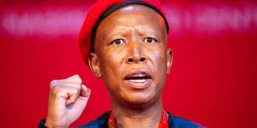 Malema Brands Zuma a “Back-Stabber” as EFF Rejects MK Alliance Amid Leftist Rift