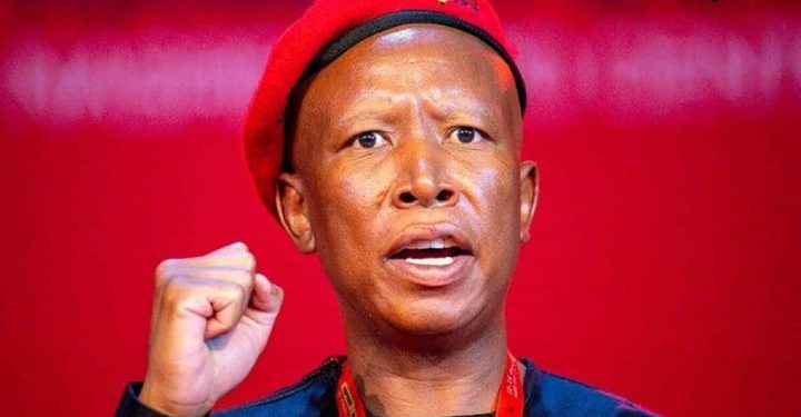 Malema Brands Zuma a “Back-Stabber” as EFF Rejects MK Alliance Amid Leftist Rift