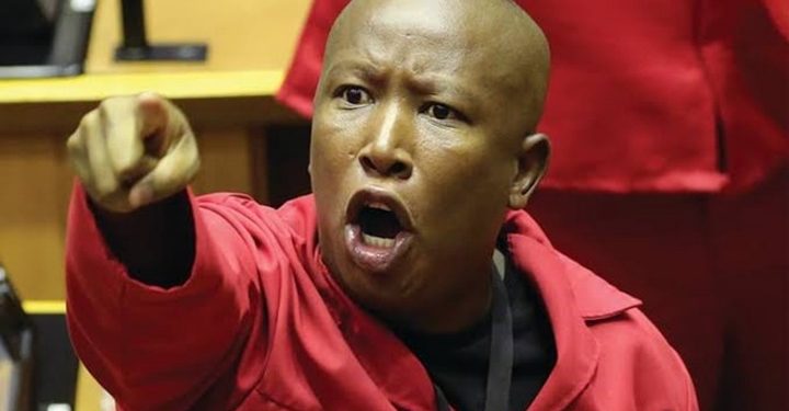 Malema Dares Critics as ‘Shoot the Boer’ Case Hits Constitutional Court: ‘We’ll Show You Flames’