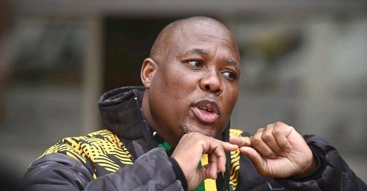 ANC KZN in Turmoil: Bheki Mtolo’s Controversial Remarks Spark Debate Over Party’s Future