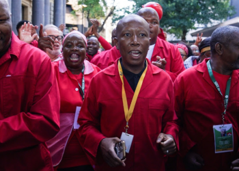 Malema Signals EFF’s Willingness to Reengage ANC Amid GNU Budget Deadlock