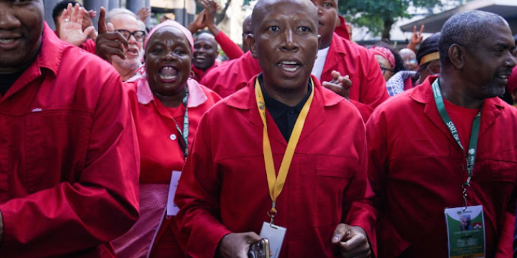 Malema Signals EFF’s Willingness to Reengage ANC Amid GNU Budget Deadlock