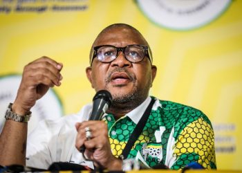 ANC Secretary-General Fikile Mbalula Accuses Members of Using “Drunkards” to Oust Mayor