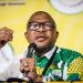ANC Secretary-General Fikile Mbalula Accuses Members of Using “Drunkards” to Oust Mayor