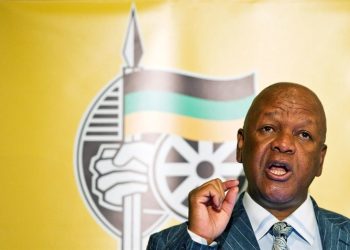 Ramaphosa Allies Take Control of ANC KwaZulu-Natal Leadership in Major Political Shift
