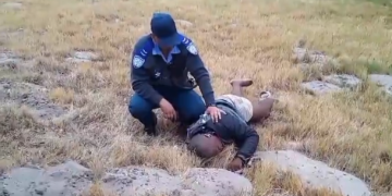 Traffic Officer Strangles Taxi Driver During Heated Confrontation on N2, Passengers Left in Shock