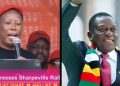 Julius Malema Urges Zimbabweans in South Africa to Return Home and Oust Zanu PF