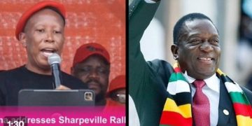 Julius Malema Urges Zimbabweans in South Africa to Return Home and Oust Zanu PF