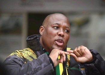 KZN ANC Secretary Bheki Mtolo’s Remarks Spark Debate Over Party’s Future