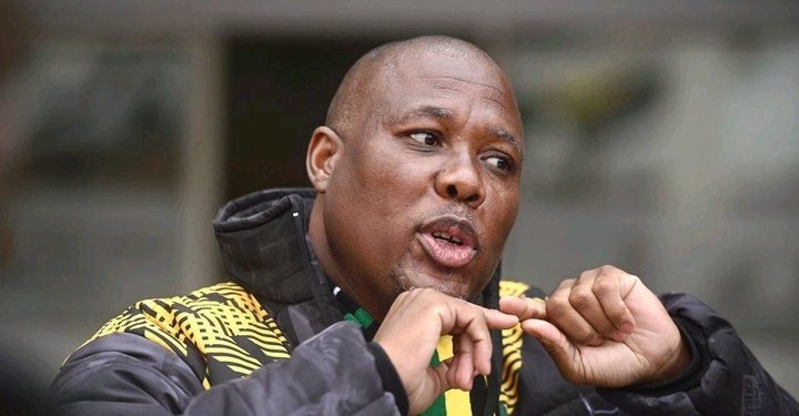 KZN ANC Secretary Bheki Mtolo’s Remarks Spark Debate Over Party’s Future