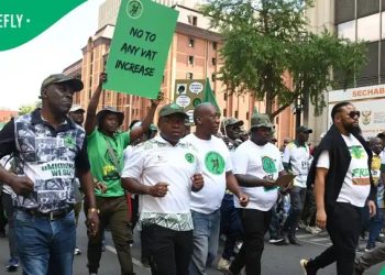 ANC Escalates Legal Battle Against Zuma’s MK Party Over uMkhonto weSizwe Name and Logo