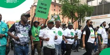 ANC Escalates Legal Battle Against Zuma’s MK Party Over uMkhonto weSizwe Name and Logo