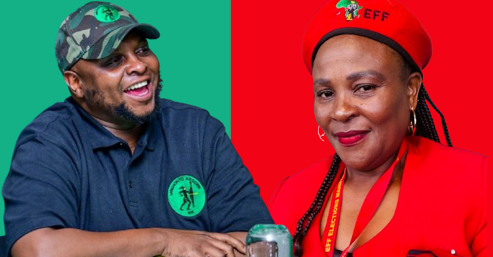 Busisiwe Mkhwebane hints at Shivambu’s link to leaked CR17 campaign documents