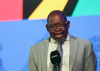 ANC Faces Mounting Pressure Over Finance Minister Amid Economic Woes, But Change Unlikely