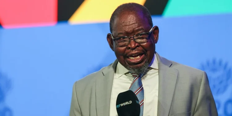 ANC Faces Mounting Pressure Over Finance Minister Amid Economic Woes, But Change Unlikely