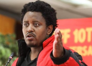 EFF Accuses ANC of Procedural Manipulation in Fiscal Framework Adoption
