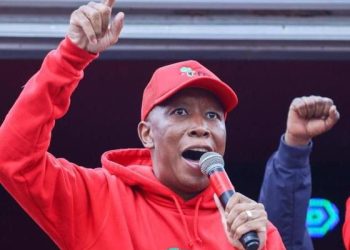 EFF Positions Itself as Potential Power Broker Amid GNU Instability